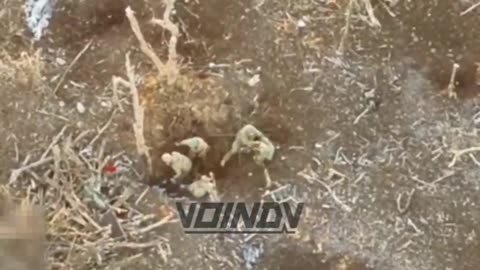 Russian Troops in Priyutnoe Destroy AFU Retreaters