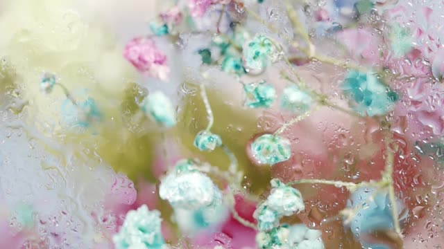 Flower Wallpaper