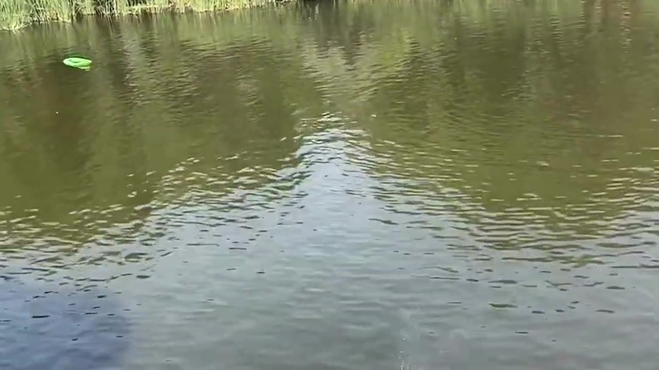 Jumping Couple Australia