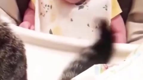 cute baby videos