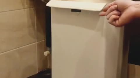 Sweet moments in the life of pets😍🐈‍⬛️🐈
