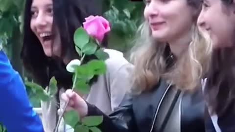 momentos felizes todos os dias