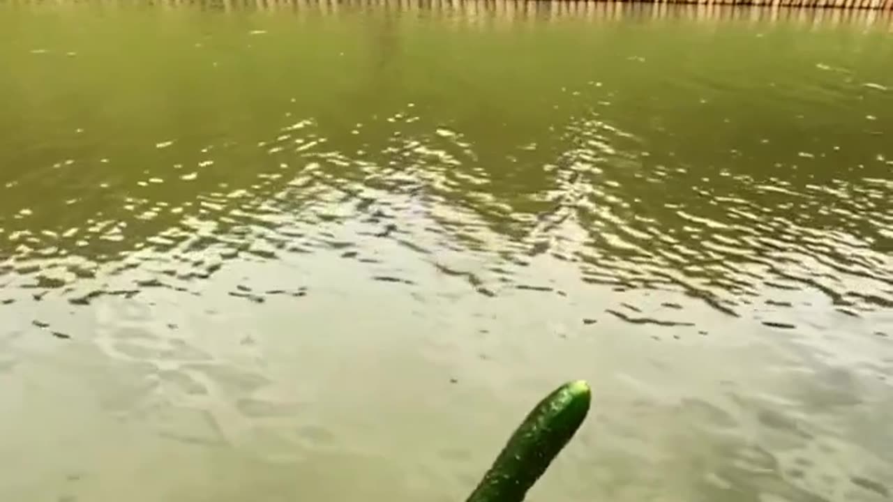 Skill or luck??🤔