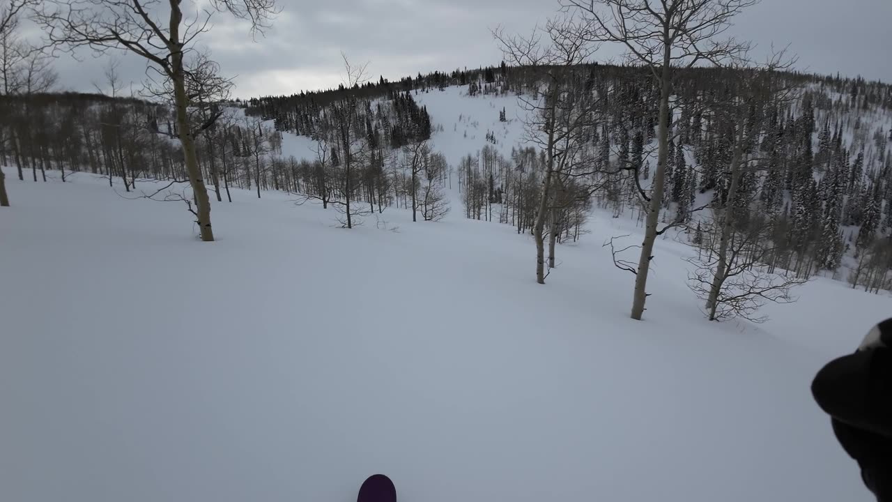 4/1 #1 Powder run down to village very flat light but good snow