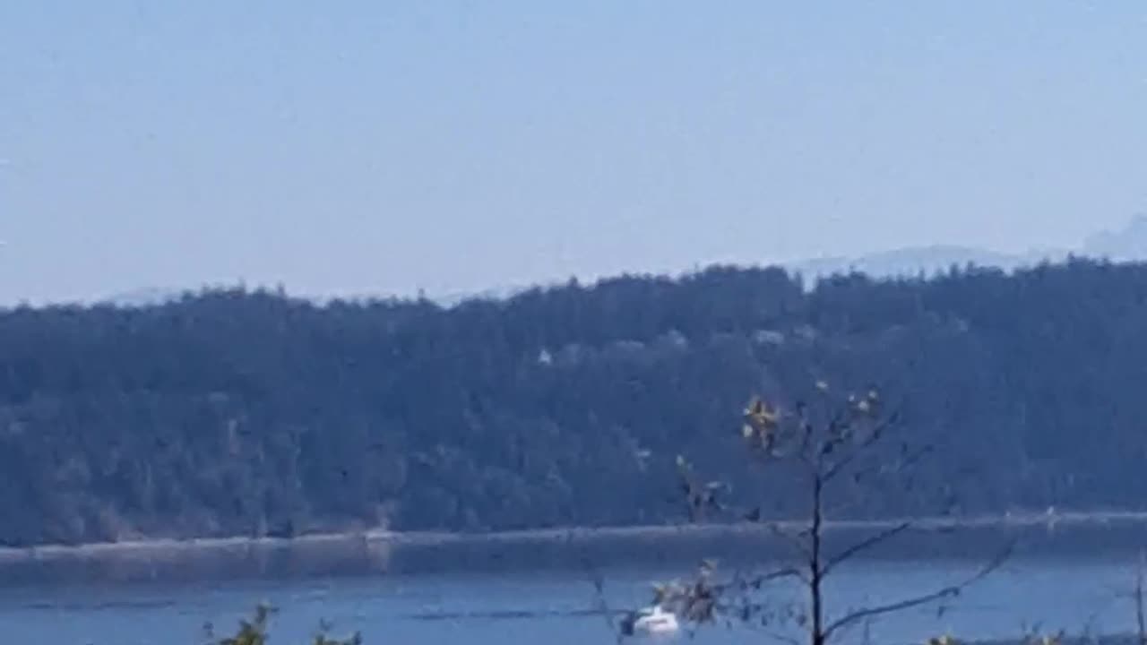 Orca network boat in the Puget sound waters,washington state,part 1