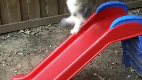 He’s so talented