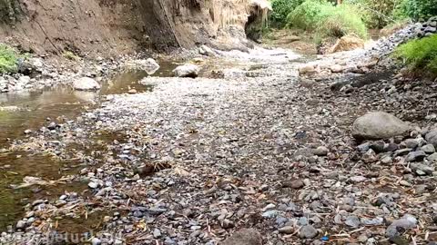 ADVENTURE IN SEARCH FOR GEMSTONES IN THE FOREST RIVER