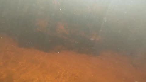 Underwater Adventure