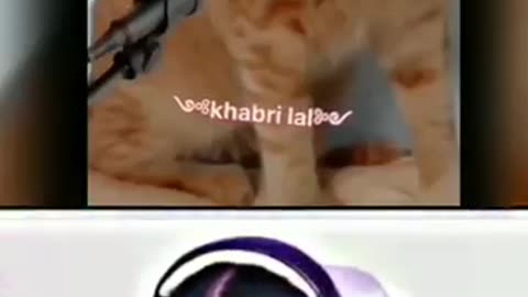 Savenge reply #1