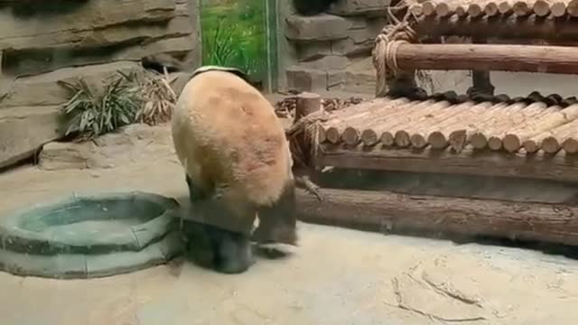 Do you like it Come out to have a bubble
