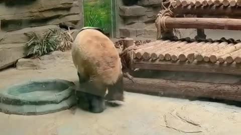 Do you like it Come out to have a bubble