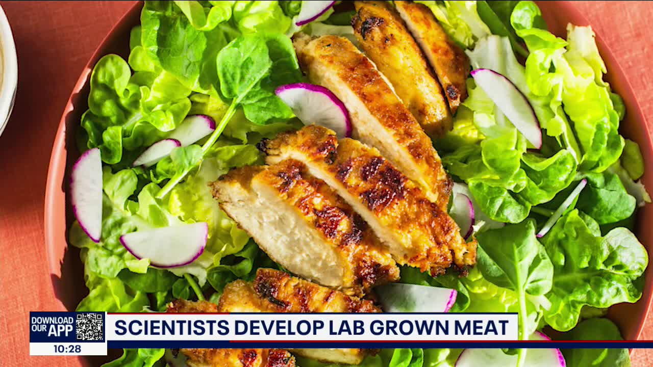 Lab-grown meat is safe to eat: FDA