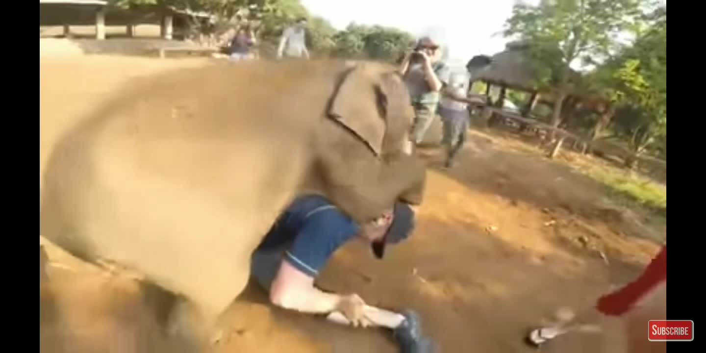 Amazing video