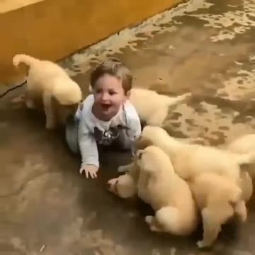 Dogs play with baby🐕🐕