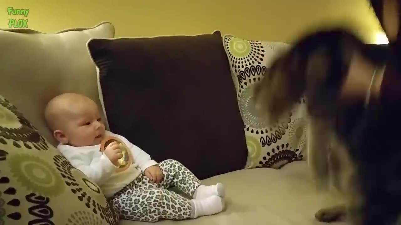 Funny cat#baby video
