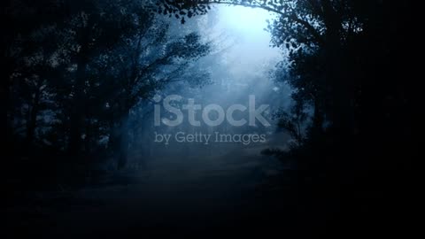 Moonlight