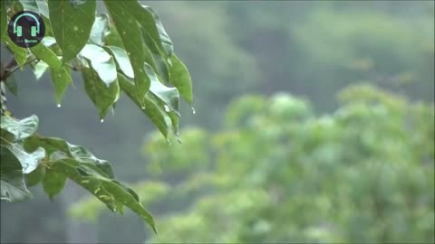 Relaxing reading Quran to the sound of rain | Surah 55 Ar-Rahman | Omar Hisham