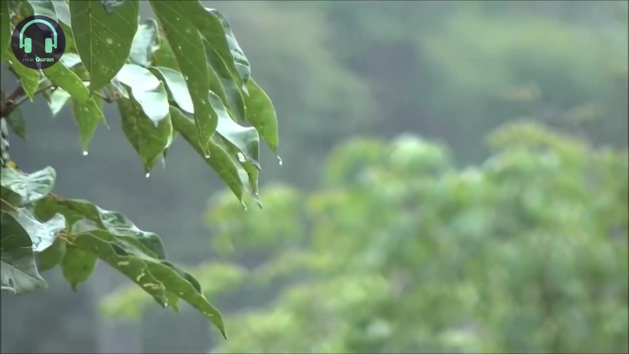 Relaxing reading Quran to the sound of rain | Surah 55 Ar-Rahman | Omar Hisham