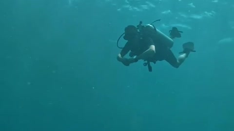 Before diving, clear away