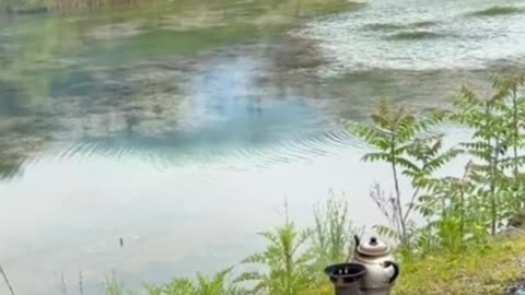 Delicious scrambled eggs on the river bank in a wild forest