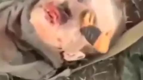 18+ Ukraine NO Respect For The Dead🤬