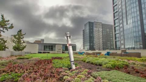 Elon's Launches Truth missile