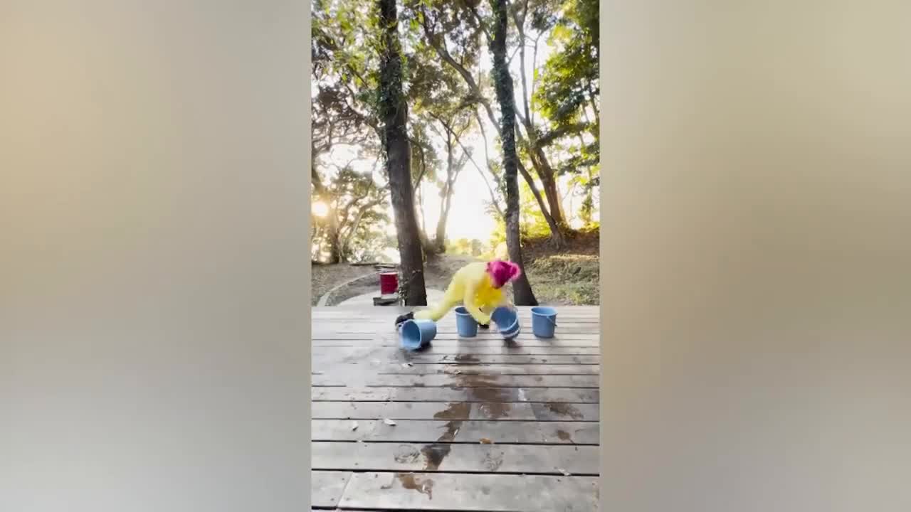 He really can do anything.