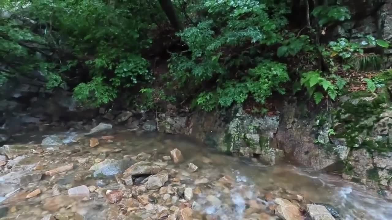 It's too hot to drive a camping truck in the mountains for summer vacation