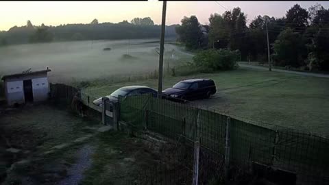 Bebel über Deutschland 🇩🇪