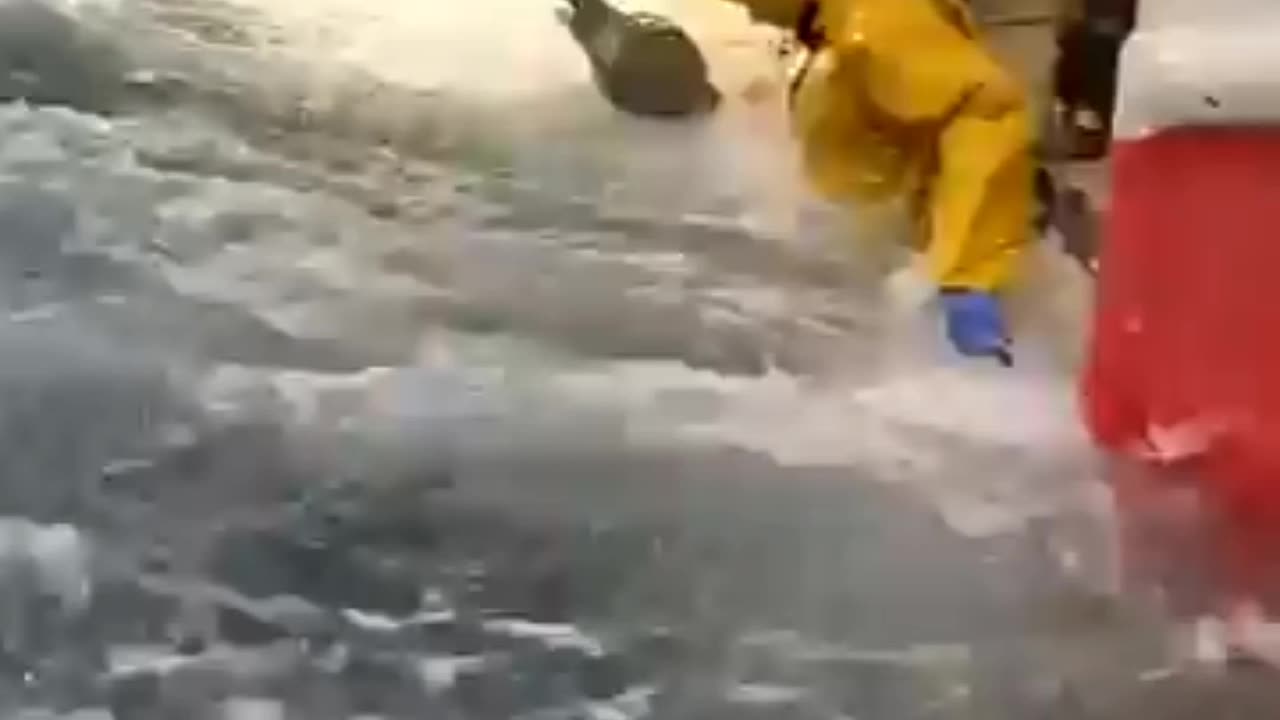 Who needs a shower when you have the sea?#shorts #short #roughseas #sealife #seastorm #viral #tiktok