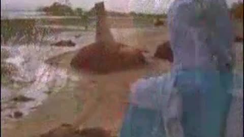 Tsunami Miracle