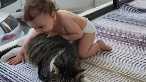 Tiny baby excited and happy to hug giant cats