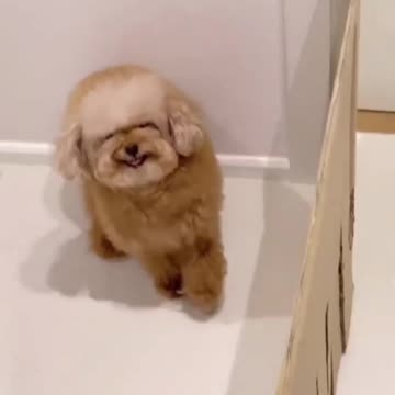 Sore loser 🤣🤣🤣🤣