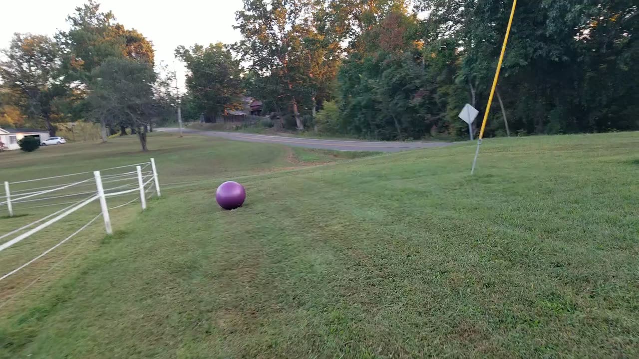 Ball #4