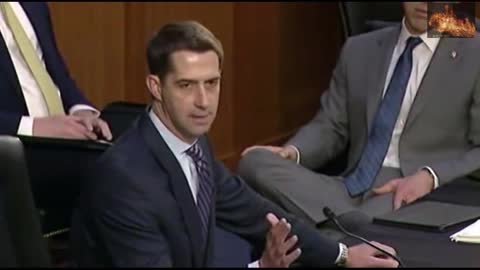 Tom Cotton Smacks Democrats in the Face
