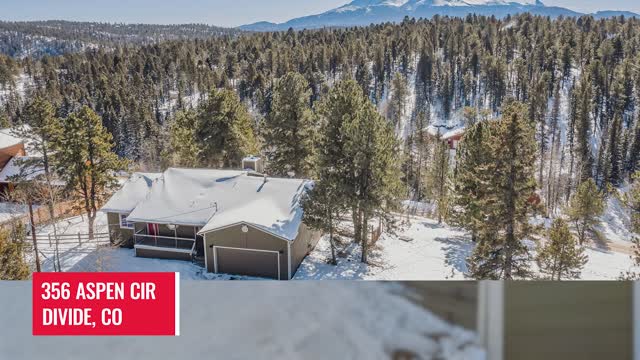 New listing at 356 Aspen CIr, Divide CO