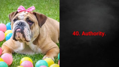 🐕 Dog Names TOP 50 Badass Dog Names For Female!