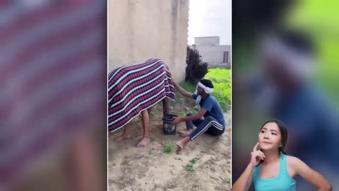 animal funny video
