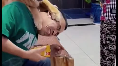 Smart dog