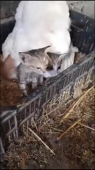 Buitengebieden @buitengebieden Warm and safe.. 😊