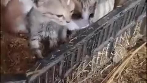 Buitengebieden @buitengebieden Warm and safe.. 😊