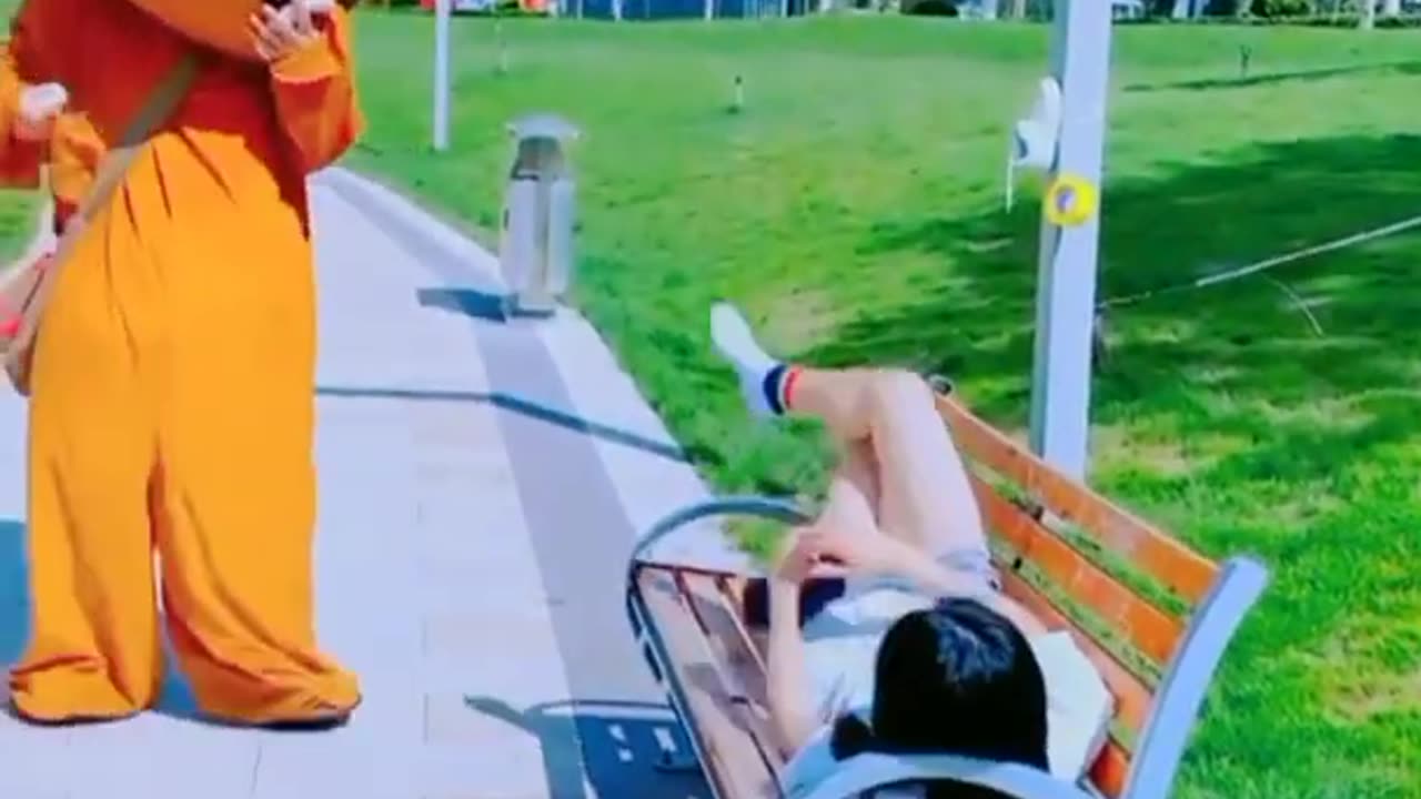 Funny Bear