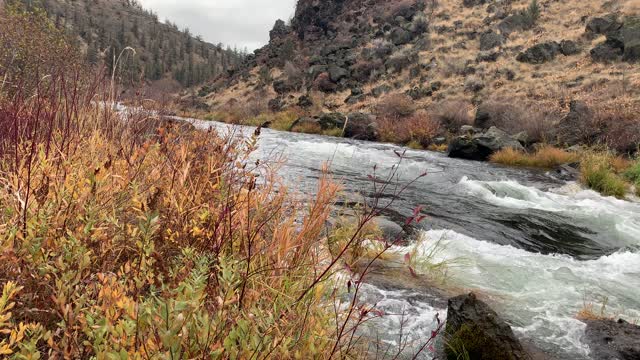 Central Oregon – Steelhead Falls – River Shoreline Perspective – 4K