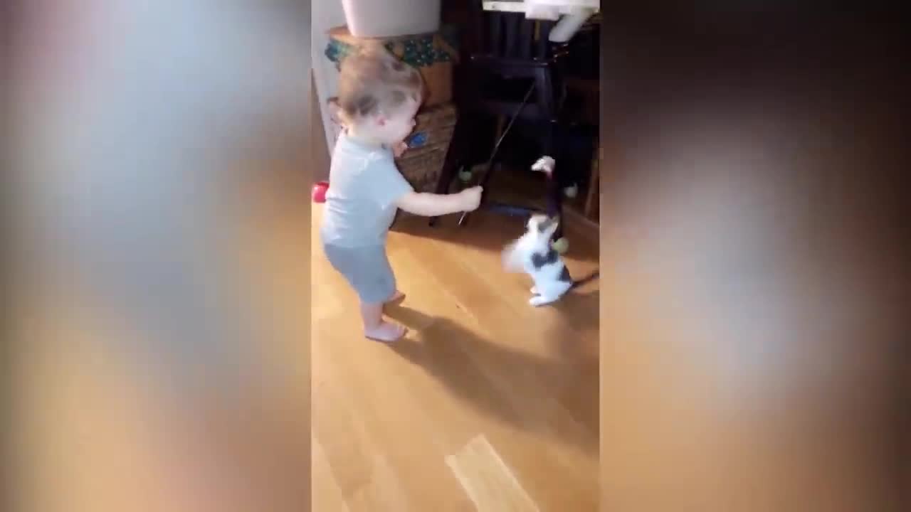 Funny Cats And Babies Playing Together