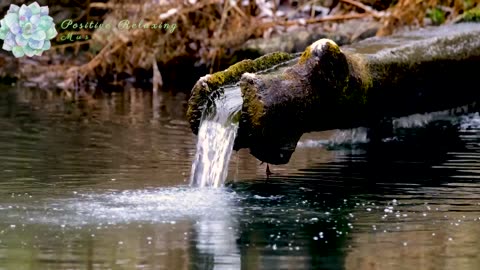 Beautiful Japanese Flute, Relaxing Music And Water Sounds