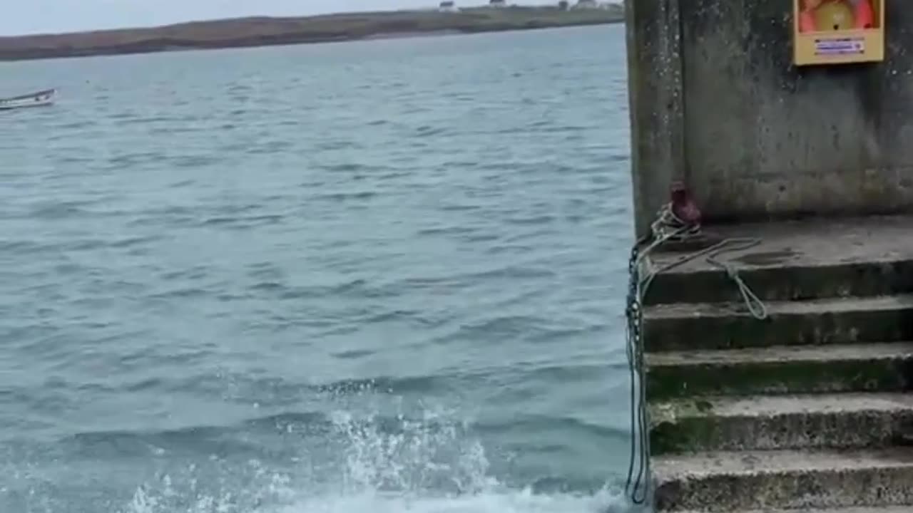 Crazy and Funny Videos!