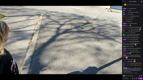 2023-05-03 (1bis.1) - Elina réveille les voisins pour qu'ils aillent cotiser - Triskelina (chat)