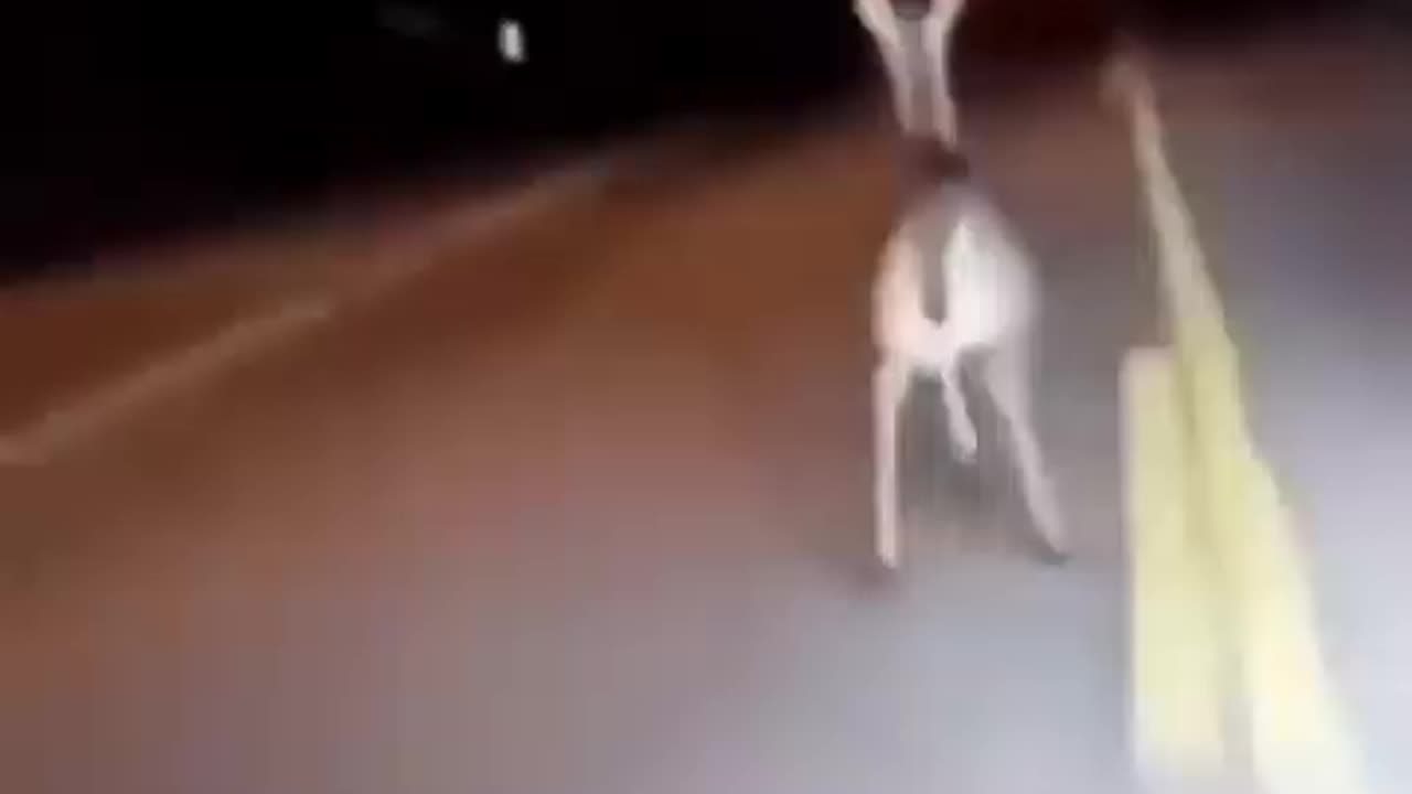 Wrong Place To Relax