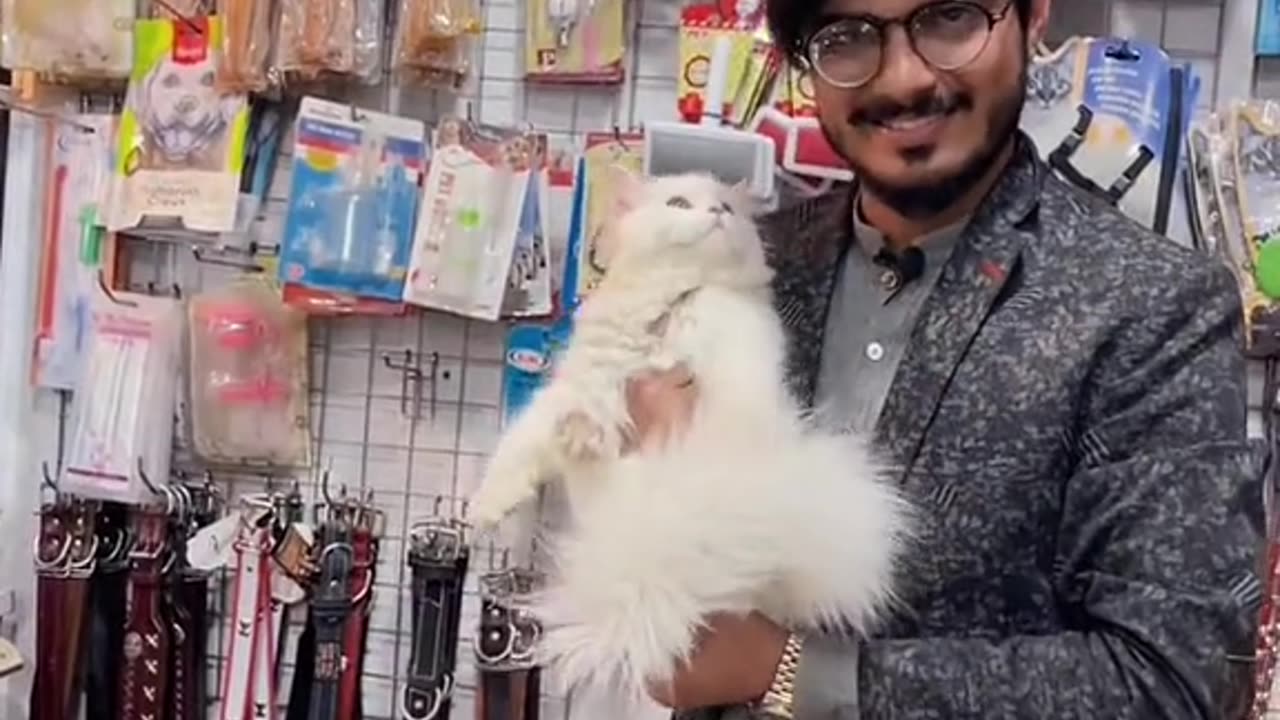 Sell for cat