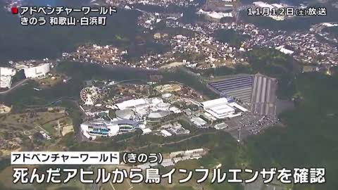 アドベンチャーワールド 鳥インフルエンザの発生をうけ 安全を確認するため１３日以降も当面休園_1